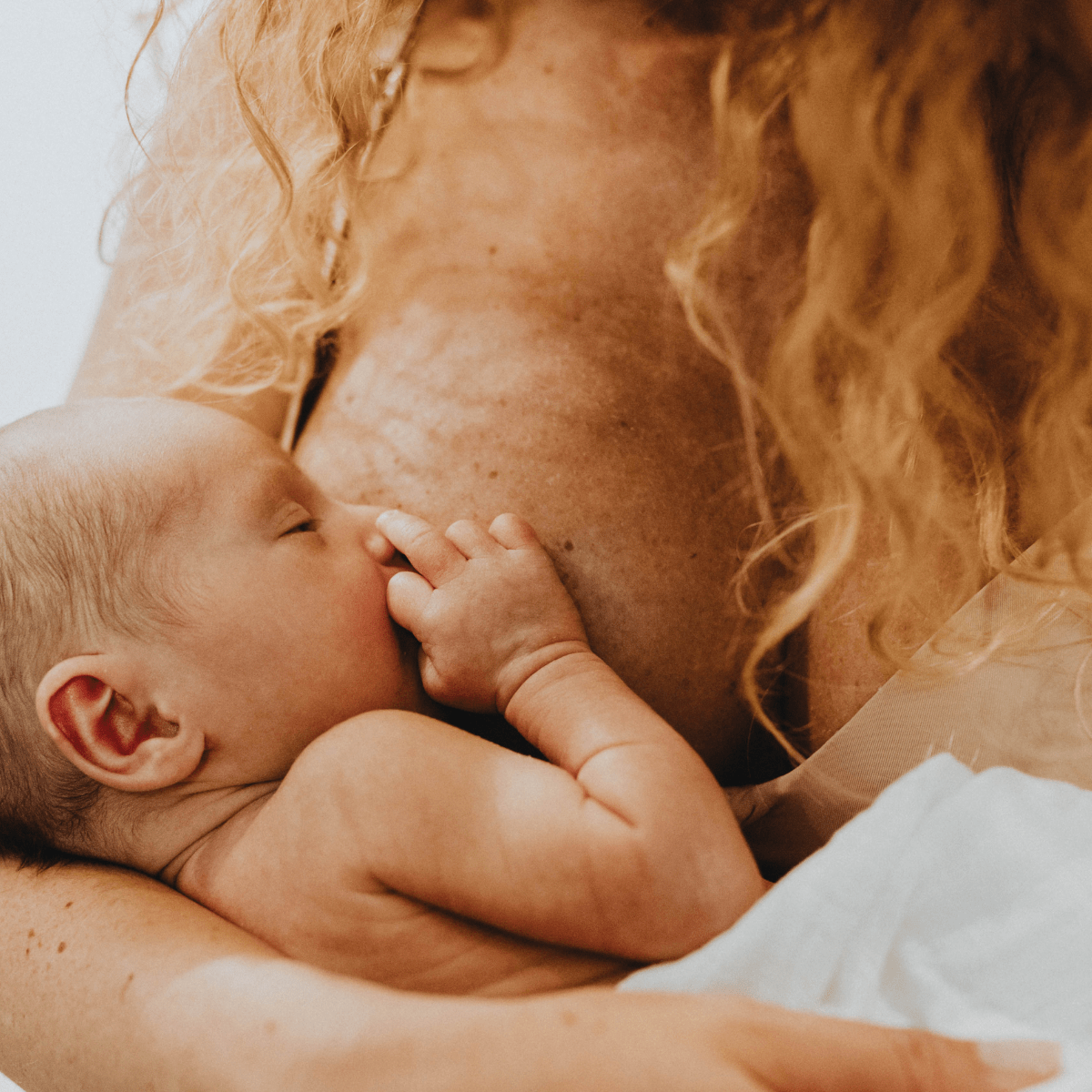 design sans titre (16)